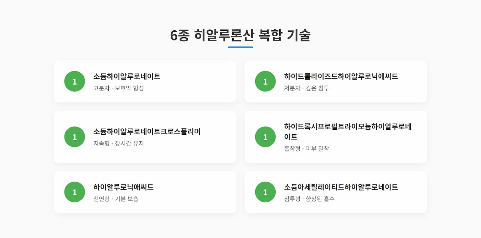 6종 히알루론산 성분 분석 인포그래픽
